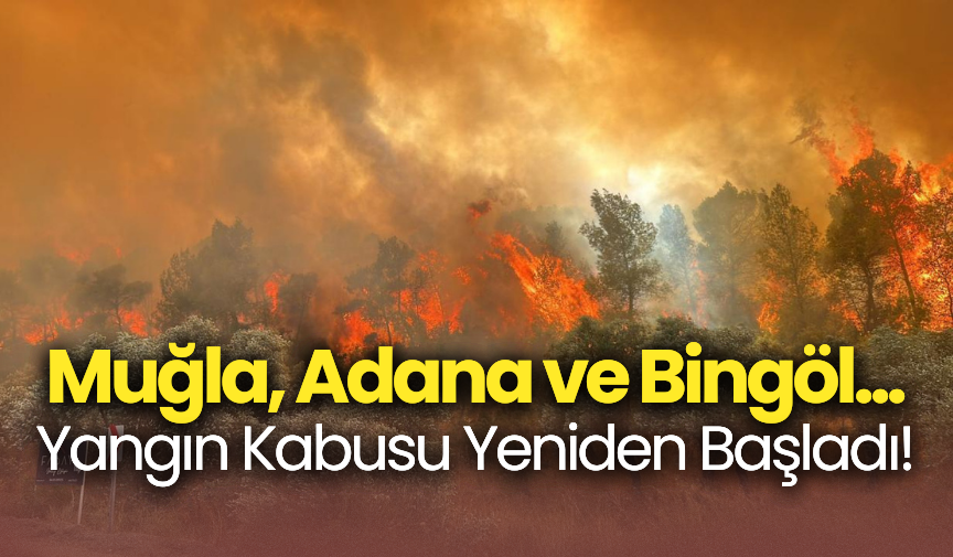 Muğla, Adana ve Bingöl... Yangın Kabusu Yeniden Başladı!